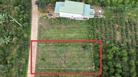 Bán lô đất 226m2 sẵn 101m2 ngay mặt tiền thổ cư xã Lộc An, Bảo Lâm, Lâm Đồng