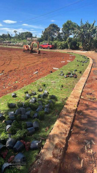 Bán gấp lô đất 186m2 sẵn 100m2 thổ cư xã Lộc An, Bảo Lâm, Lâm Đồng