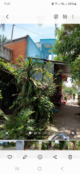 Bán Siêu rẻ đất TL902 Chánh An, Mang Thít, Vĩnh Long. 275 triệu