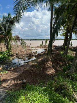 Chỉ cần 490 triệu có ngay 1096m2 mặt tiền sông Mê Kong, gần các KDL sinh thái tương lai