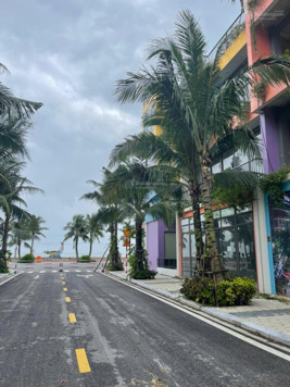 Thanh lý gấp căn góc view biển shopvilla diện tích 96m2 giá 4,x tỷ dự án Flamingo Hải Tiến