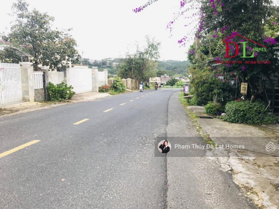 Giá đầu tư 28,8 tr/m2 đất mặt tiền Triệu Việt Vương Đà Lạt view thông ngay trung tâm, DT 1213,3m2
