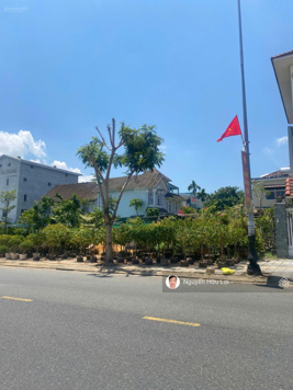 Đất Thăng Long view sông Hàn Đà Nẵng, đường 15m. DT 300m2 ngang 15m Xây Biệt Thự Đầu tư. 56 tr/m2