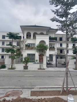 Giá 50,x triệu/m2 - bán biệt thự đơn lập - diện tích 17,5x22,5= 393,9m2 - Vinh Riverside - Tp Vinh