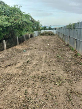 Bán đất nền đường nhựa, đối diện sông lớn (sông Trà) tại ấp Tân Bình 1, xã Tân Thuận Bình, Chợ Gạo