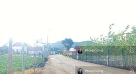 Bán đất tại Đường Tản Đà, Thị trấn Liên Nghĩa, Đức Trọng, Lâm Đồng, 2,05 tỷ, 150m2