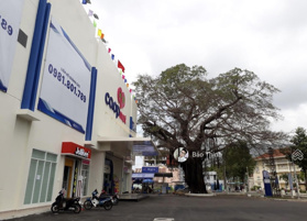 Chính chủ bán ngay đất MT Phan Đình Phùng, Châu Phú B, Châu Đốc, An Giang, 120m2 SHR thổ cư