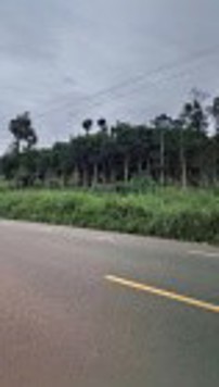 Siêu hot đầu năm 2025: Sở hữu ngay quỹ đất vàng mặt tiền Quốc Lộ 27C chỉ với 550k/m2