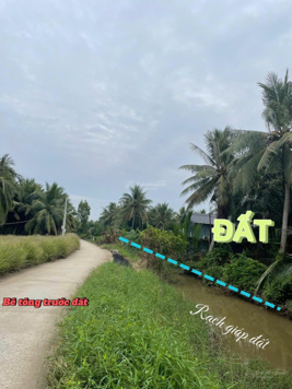 Bán 3,800m2 đất vườn dừa lên thổ cư được, giá chỉ 525tr/sào. Ngay Tiền Giang cách TPHCM 65km