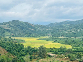 Chính chủ kẹt cần bán gấp trước Tết 2 lô liền ngang 10m chỉ 290tr/lô bao sổ cách QL 20 hơn 4km