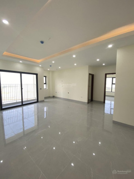 Căn hộ 3 ngủ chung cư Handico Nguyễn Viết Xuân Hưng Dũng, đã có sổ, giá chủ đầu tư. Lh 0971 613 226