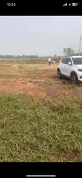 Chuyển nhượng gần 8ha đất SXKD tại Cụm CN Thanh Hóa đất đóng thuế 1 lần