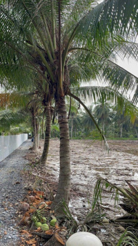 Ngang 10 x 57m - sẵn ao cá - đường sắp đổ bê tông chỉ 285tr