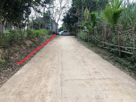 Chính chủ: Bán đất đẹp tại xã Vân Am, Ngọc Lặc, Thanh Hóa, giá siêu hời 320 triệu, 120m2