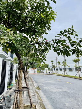 Chính chủ bán căn 75m2 đường thông, view trường học dự án Belhomes Vsip Hải Phòng