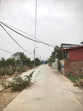Bán đất tổ 10, TT Quang Minh, Mê Linh, Hà Nội, đường ô tô, giá chỉ 2 tỷ 3x