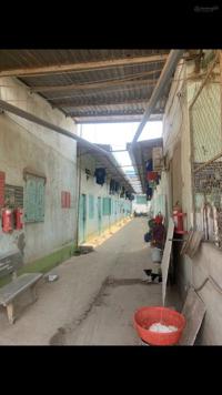 CHỦ NHÀ TRỌ CẦN BÁN 1 DÃY NHÀ TRỌ MẶT TIỀN ĐƯỜNG BỜ CHÙA, XÃ TÂN QUÝ TÂY, HUYỆN BÌNH CHÁNH, TPHCM