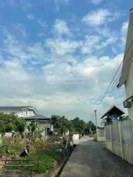 Bán gấp đất tại Đông Tân, Đông Hưng, Thái Bình, 2,5 tỷ, 105 m2