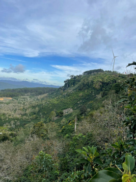 ĐẤT ĐẸP GIÁ SỐC - 4064M2 View Điện GIÓ - Đường Ô TÔ- SỔ đỏ Riêng.