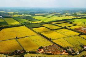 Đề xuất kéo dài miễn thuế sử dụng đất nông nghiệp đến hết năm 2030