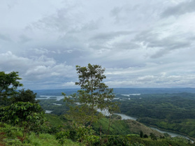 Bán khu đất view vip hồ Tà Đùng, mặt tiền rộng 60m, kế homestay May Farm nổi tiếng đông khách