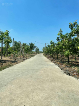 Bán gấp 14ha (140.000m2) view suối giá 500tr/ha, SHR, Huyện Đak Mill, Đak Nông LH: 0906 720 035