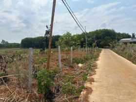 Bán đất sẵn sổ thổ cư xã Đắk Sin 350tr/1000m2 đường betong, gần ủy ban chợ trường học