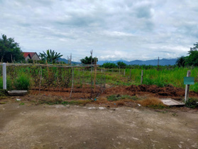 Cho thuê đất dài hạn, 200 m2, phù hợp làm kho, làm rau, hoa, Diên Sơn, Diên Khánh, giá tốt