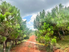 Tôi chính chủ cần bán 9.900m2 đất view hồ thích hợp nghĩ dưỡng