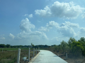 Bán đất giá chỉ 395 triệu VND tại Xã Hiệp Thạnh, Gò Dầu, Tây Ninh