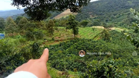 Bán đất view thác, Quảng Tân, 2ha khu dân, giá 4.5 tỷ