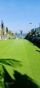 Cơ hội đầu tư đất biển Cà Ná lý tưởng cho kinh doanh nghỉ dưỡng và khách sạn