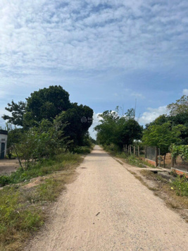 Hạ giá bán nhanh lô đất xã Chư Ngọc huyện KrongPa gần Quốc Lộ 25