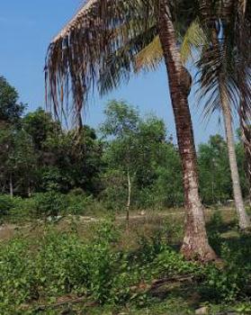 Đất nền ở Dương Đông, Phú Quốc, Kiên Giang đang chờ chủ mới