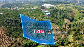 Bán đất vườn ngay trung tâm Nhân cơ Đăkrlấp, 1.2ha, giá 950 triệu