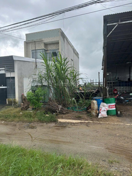 Chính chủ bán thửa đất số 980 - Quốc Lộ 1A, Cát Tân, Phù Cát, Bình Định