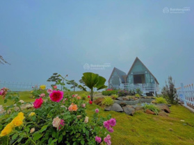 Chính chủ bán gấp trước tết căn biệt thự vườn Nguyễn Thành Ý, 546,6m2. Gía tốt nhất