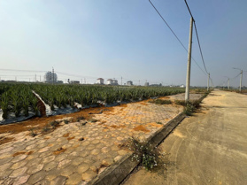 Chính chủ cần bán mảnh đất vị trí đẹp tỉnh Ninh Bình. Khu đô thị Đồng Giao đường Đồng Giao