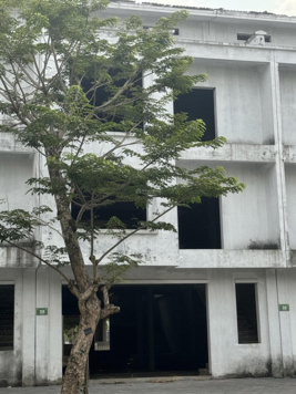 Trục đường kinh doanh đẹp nhất Ecopark Hải Dương