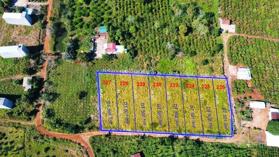 Chư Sê - Gia Lai chỉ 75tr sở hữu 500m2 mặt tiền ngang 11m full hồng lên thổ được khu dân cư