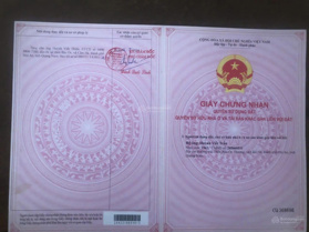 Bán đất tại Cẩm Hà, Hội An, Quảng Nam, giá siêu hời chỉ 35 triệu/m2, thích hợp xây villa