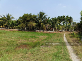 Bán đất vườn đường Số 8, ấp Bông Trang, Thạnh Đức, Gò Dầu, Tây Ninh, giá tốt