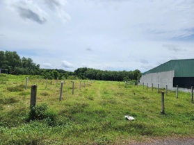 4500m2 Đường nhựa thông vào KCN. Dân đông. 2,65 tỷ