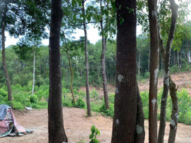 Bán đất nền có nhà trên đất tại thành phố du lịch Huế, 7500m2, giá chỉ 16,9 tỷ