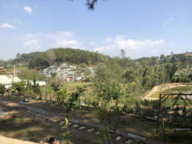 Cho thuê đất đất trống Phường 5, Đà Lạt