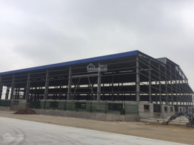Cần cho thuê 2.3ha - 5ha bãi, nhà xưởng trong KCN Đình Vũ