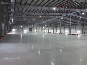 Cho thuê kho xưởng mới 100% Thuận Thành, Bắc Ninh, DT 1.000m2 đến 200.000m2 (chia nhỏ theo yêu cầu)