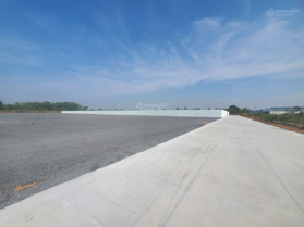 Cho thuê bãi cont, depot nền bê tông, đá mi mặt tiền QL51 DT 1000m2, 2000m2, 5000m2 đến 5 hecta