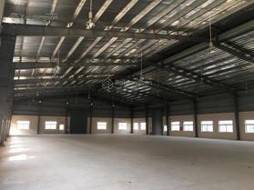 Cho thuê kho xưởng trong khu công nghiệp Long Thành