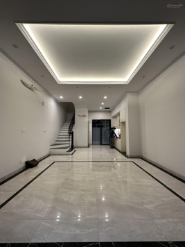 Cho thuê gấp biệt thự view đẹp tại The Empire - 15tr/th 60m2